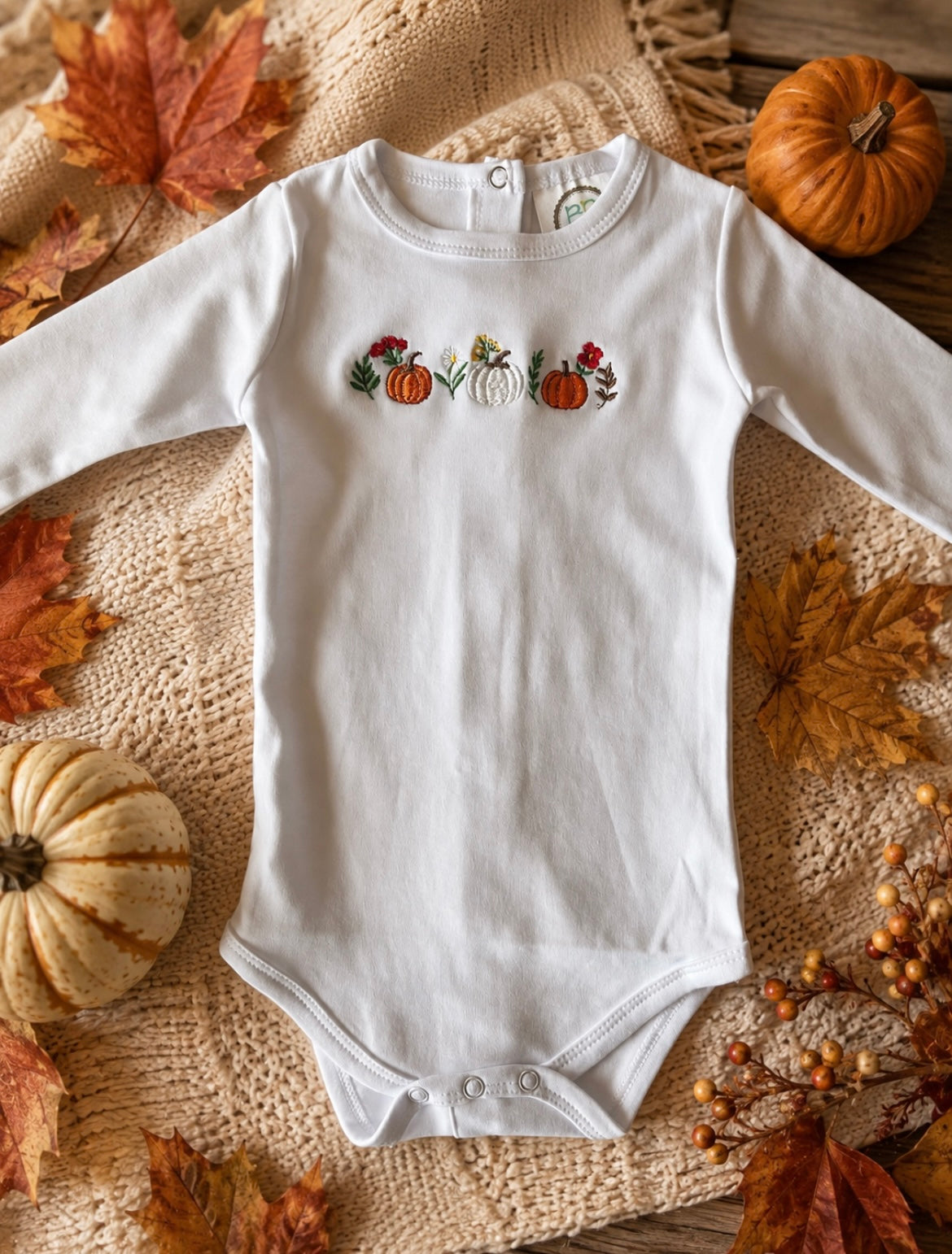 Baby Pumpkin & Floral Embroidered Long Sleeve Onsie